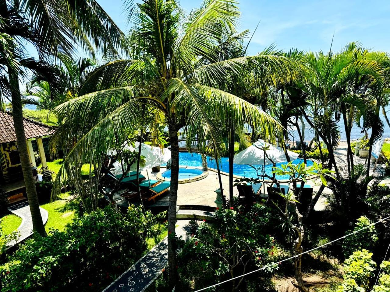 Coral Bay Bungalows Amed  Exterior photo